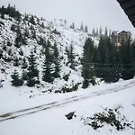 файна файта *