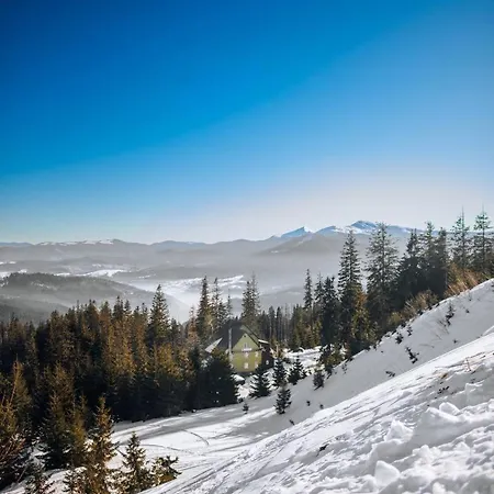 файна файта 宾馆 *