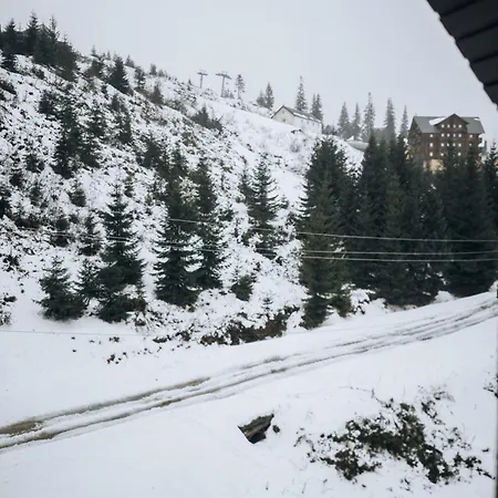 файна файта *