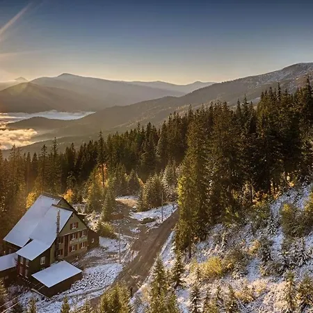 файна файта