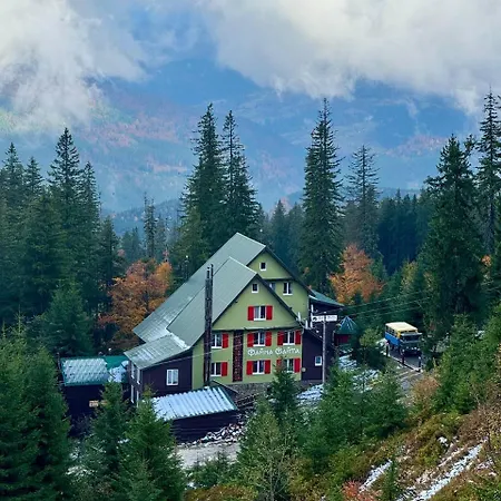 файна файта *